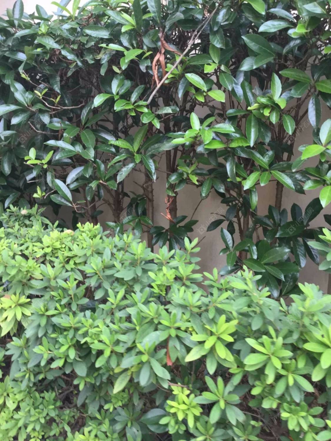 上海上环公寓小区_上环公寓小区null