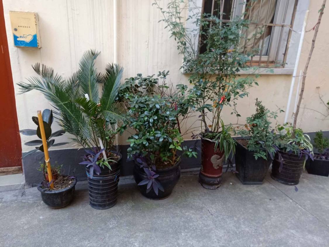 上海南昌路615弄小区_南昌路615弄小区null