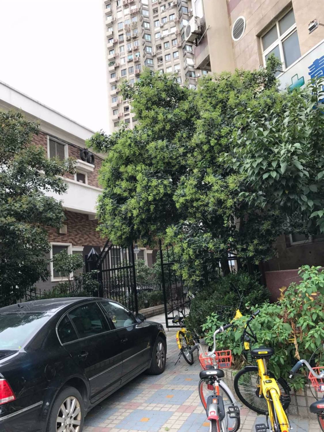 上海天香公寓小区_天香公寓小区null