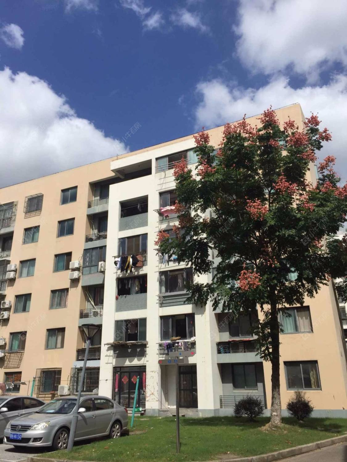 上海清风雅苑小区_清风雅苑小区null