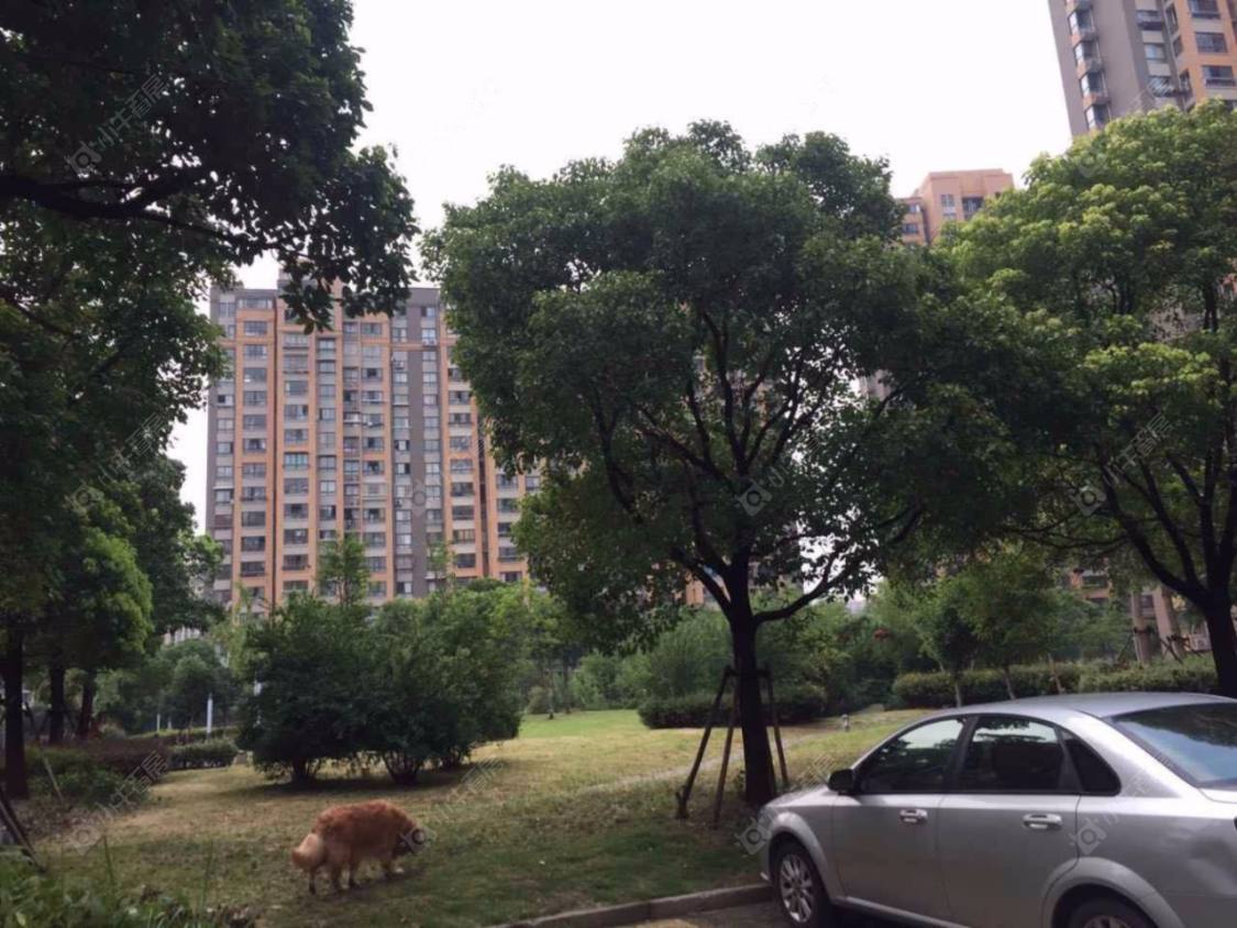 上海星颂家园小区_星颂家园小区null