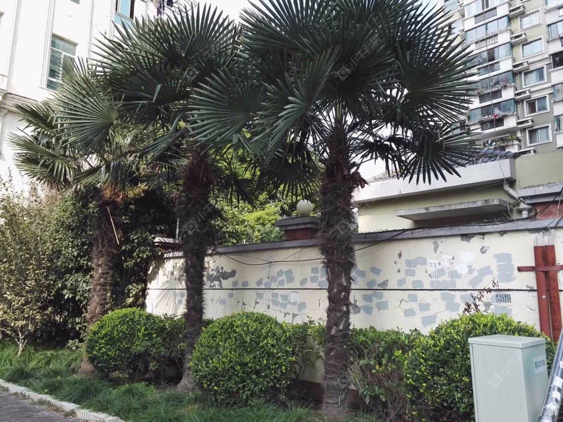 上海陆家浜大楼小区_陆家浜大楼小区null