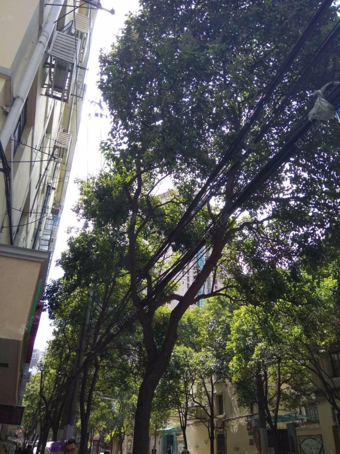 上海乐镇小区小区_乐镇小区小区null