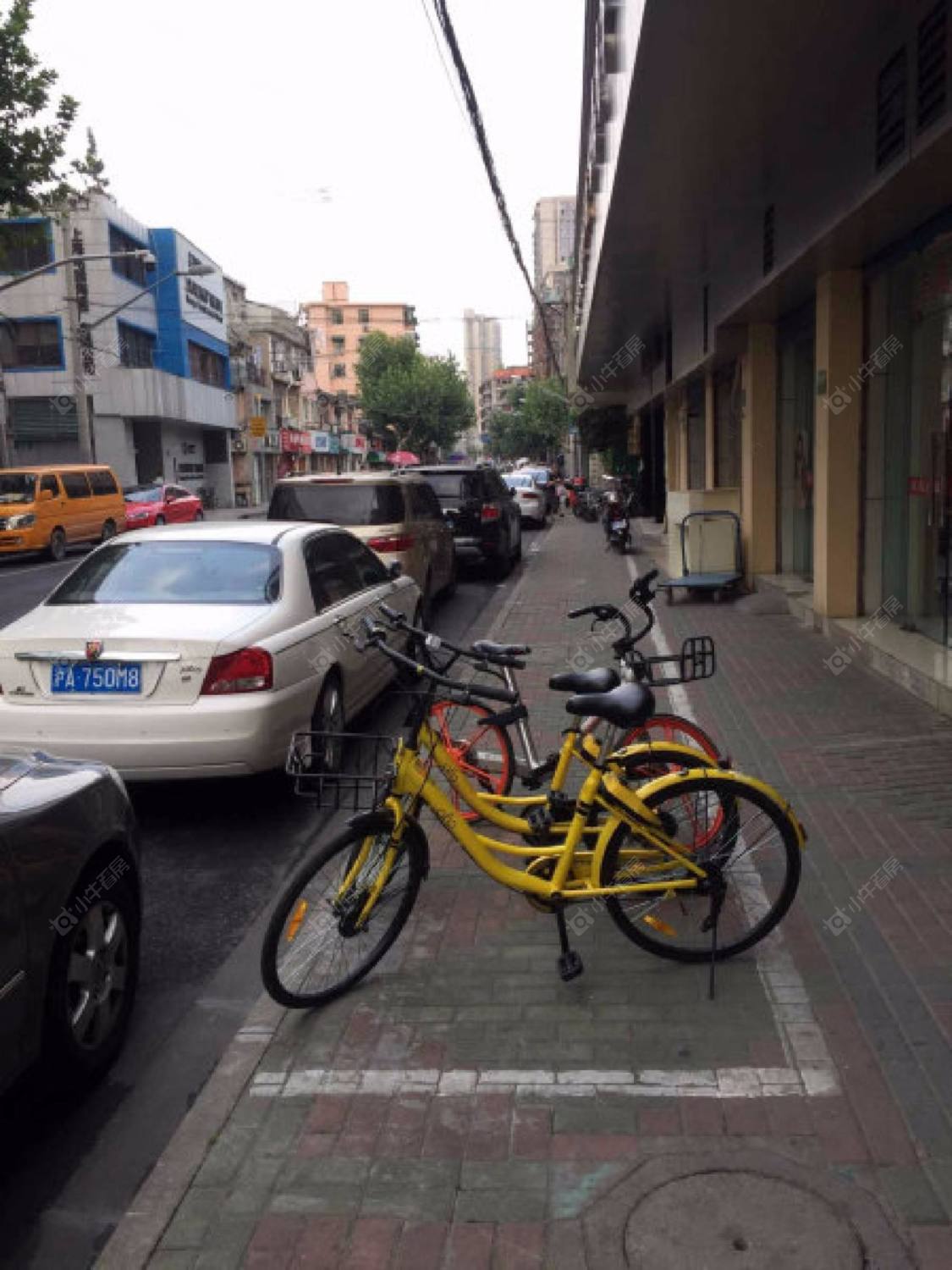 上海洪远公寓小区_小牛看房