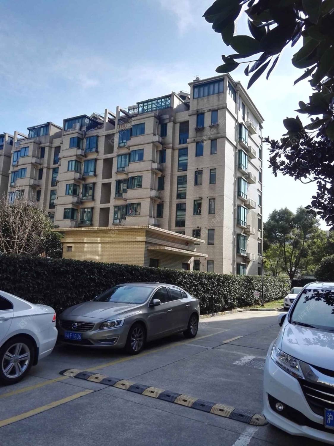 上海望族新苑小区_望族新苑小区null