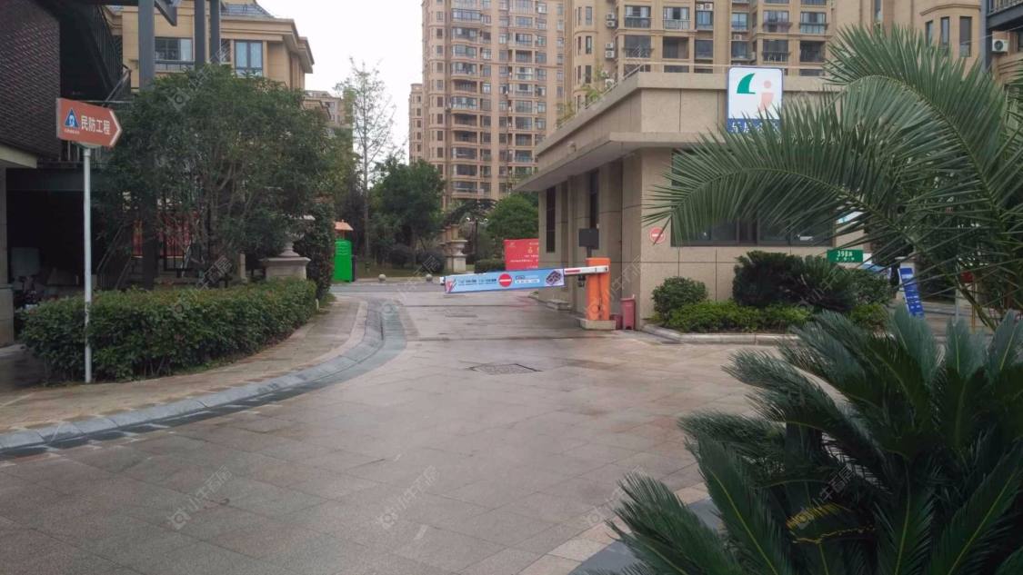 上海东方郁金香庭小区_东方郁金香庭小区null