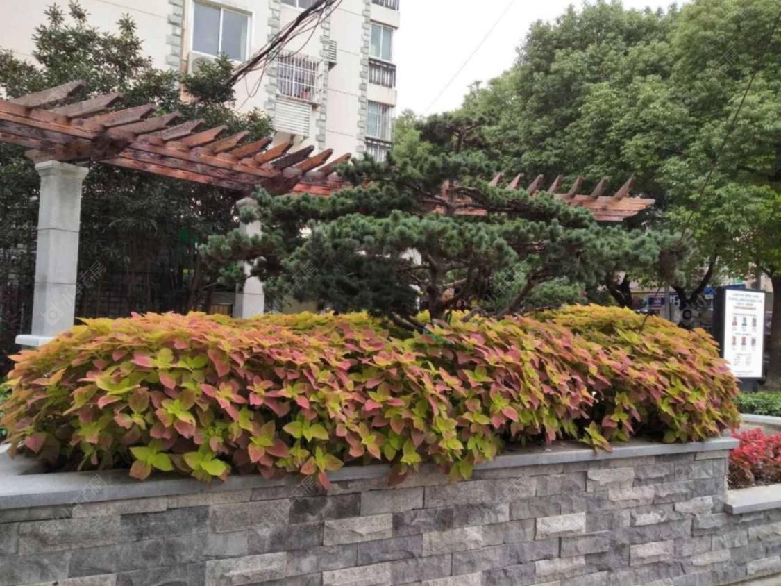 上海汇宝公寓南区小区_汇宝公寓南区小区null