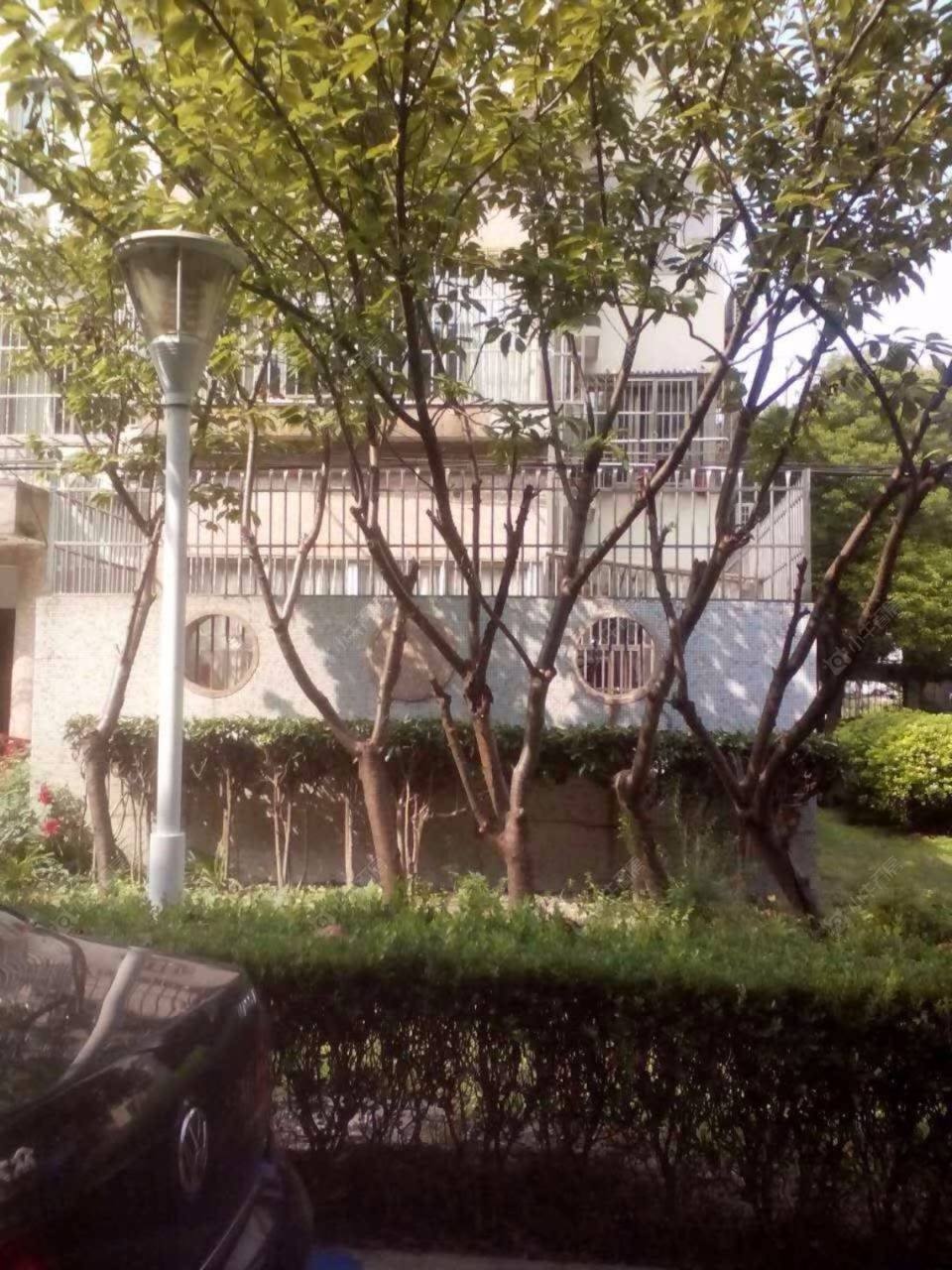 上海宝山九村小区_宝山九村小区null