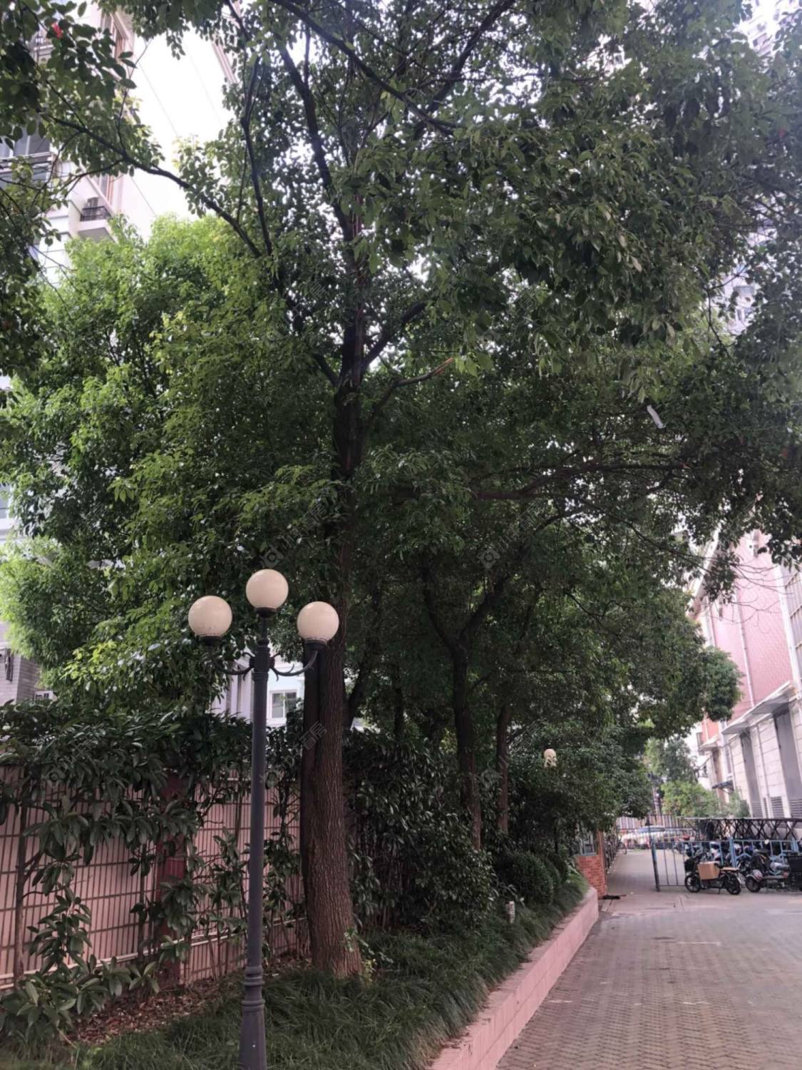 上海静安公寓（静安）小区_静安公寓（静安）小区null