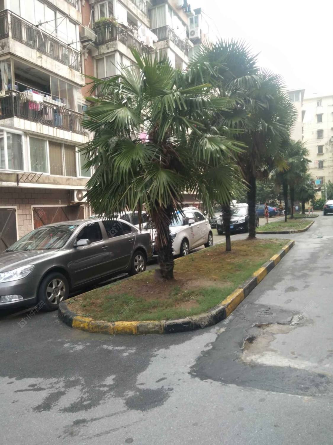 上海星风花苑小区_星风花苑小区null