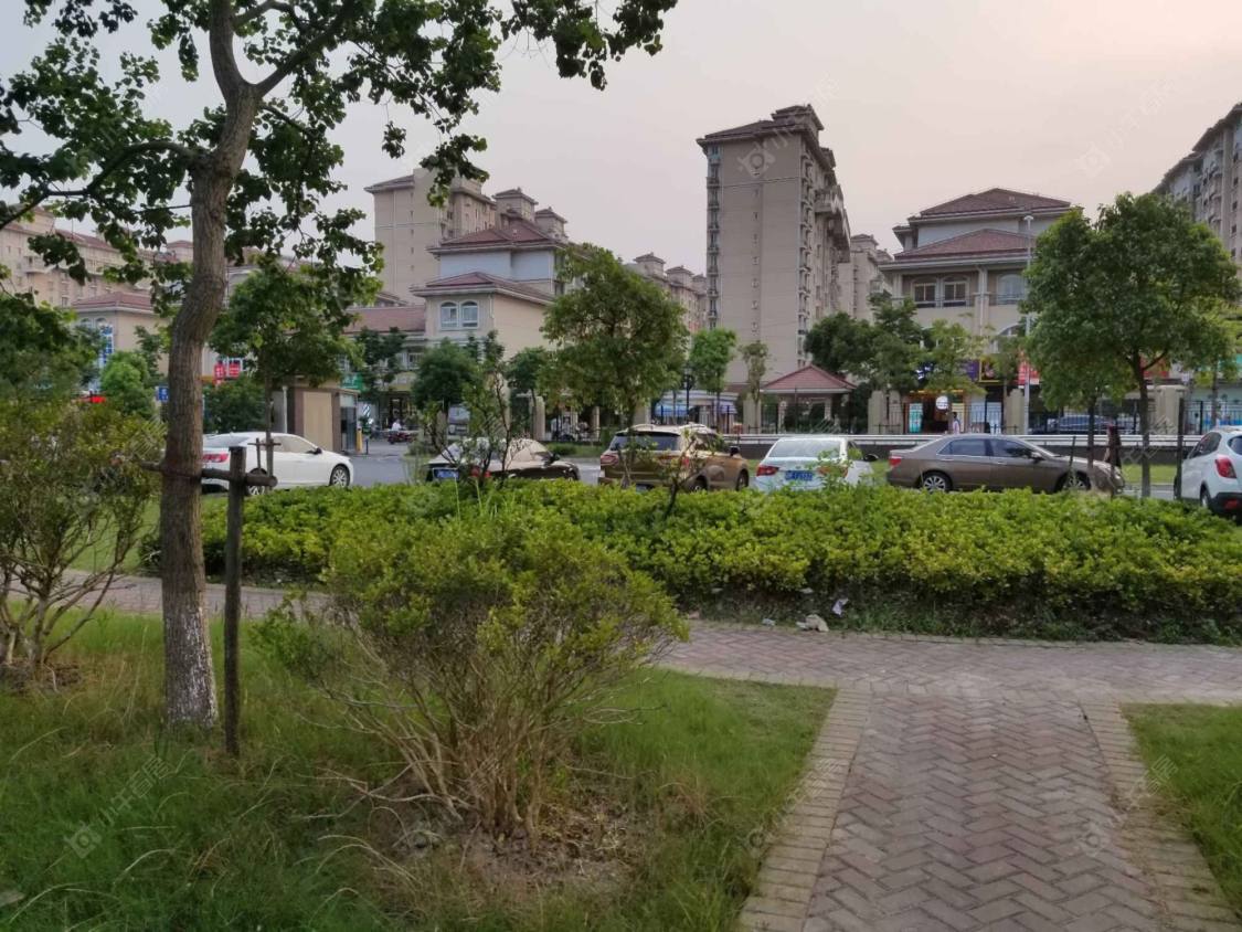 上海民乐城惠益绿苑东苑小区_小牛看房