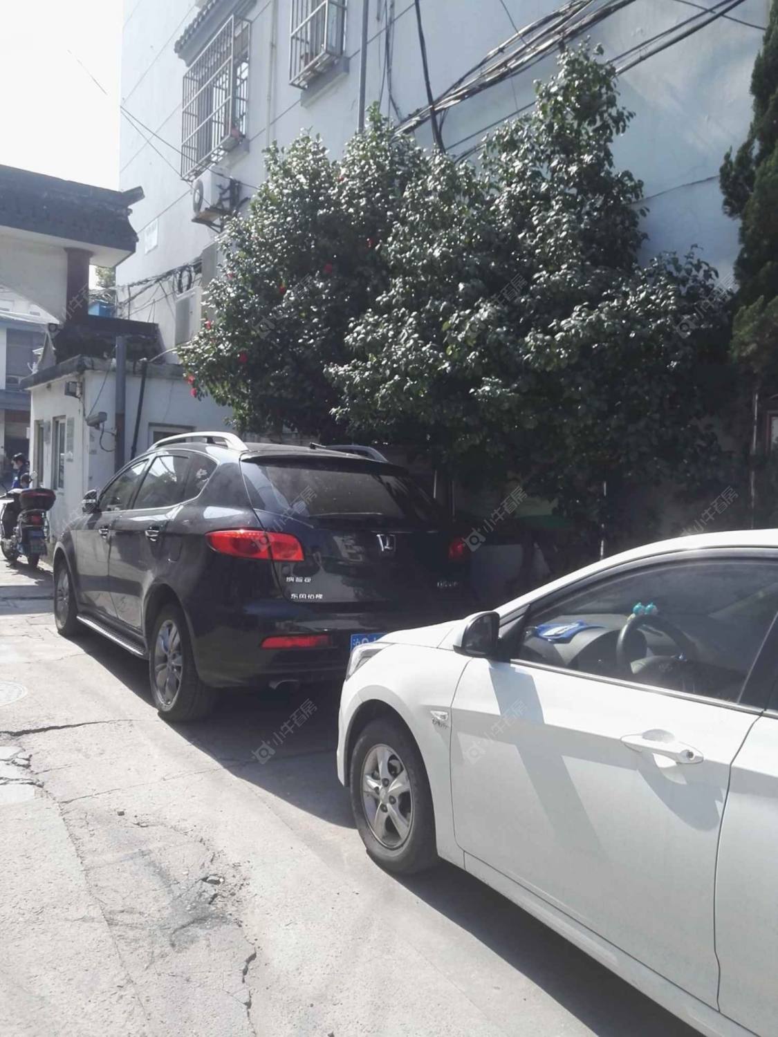 上海东湖新村小区_东湖新村小区null