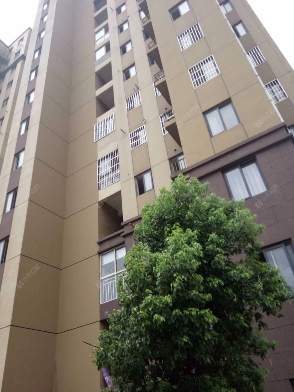 上海民乐城惠益绿苑小区_民乐城惠益绿苑小区null