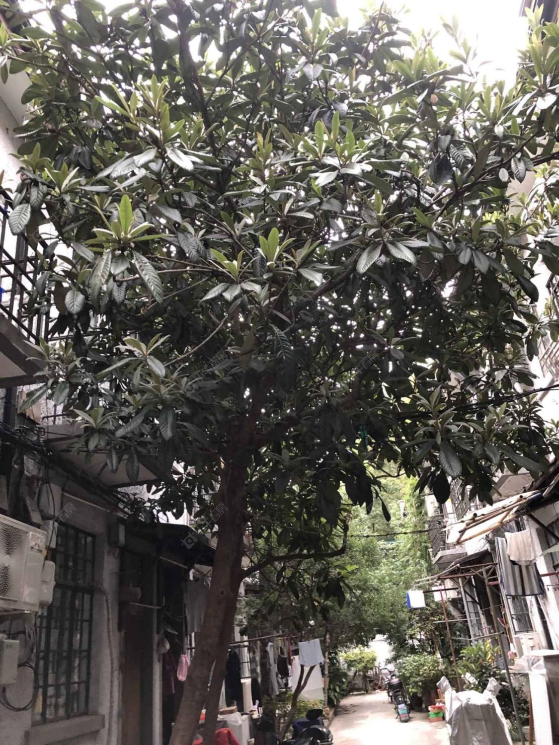 上海牛庄小区小区_牛庄小区小区null