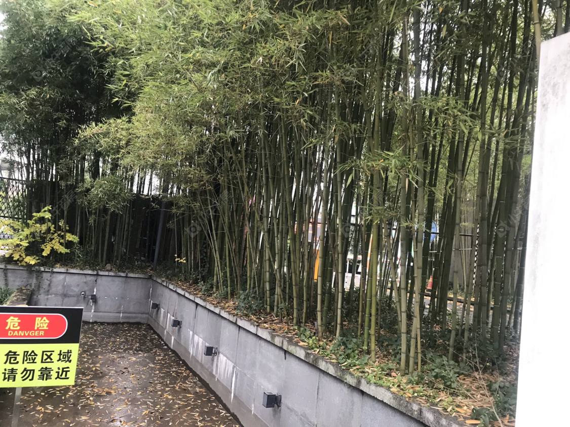 明华苑封面图_小牛看房