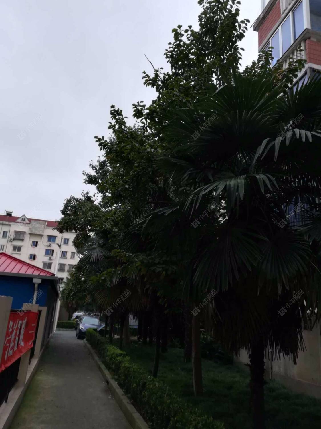 上海潼港一村小区_潼港一村小区null