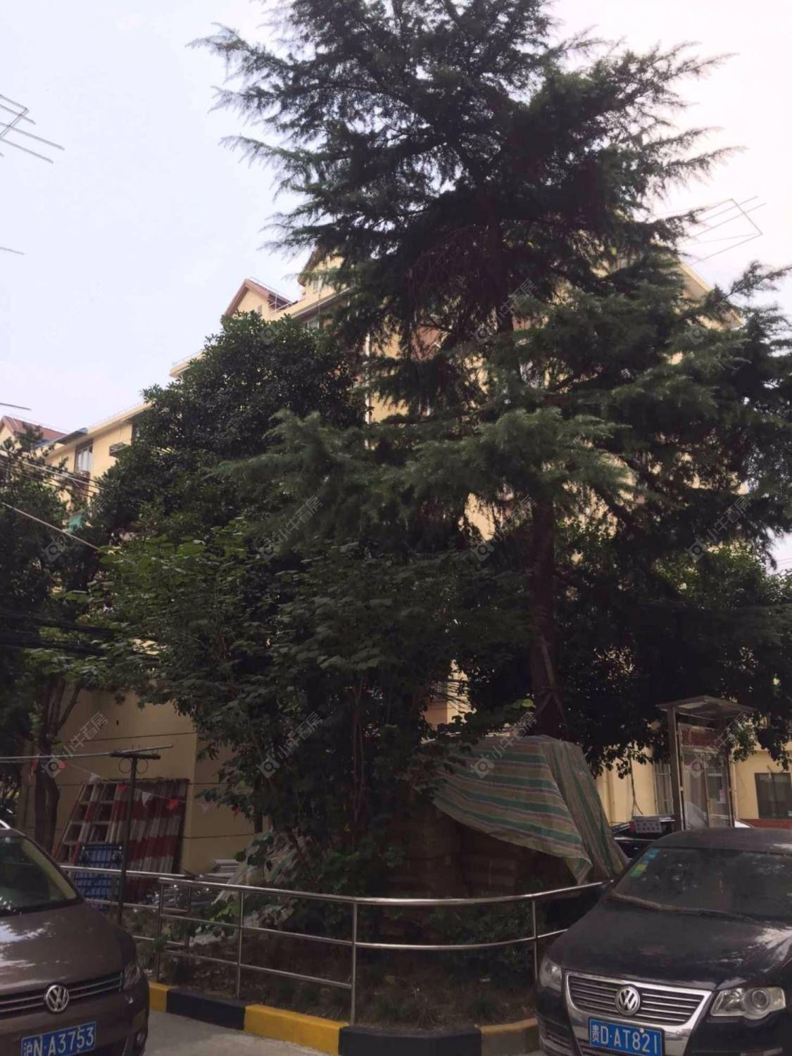 上海康乐小区(闸北)小区_康乐小区(闸北)小区null