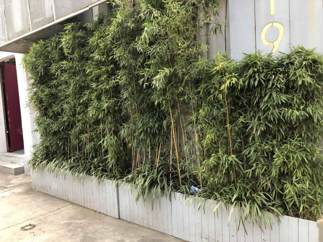 上海陕西北路815弄小区_陕西北路815弄小区null