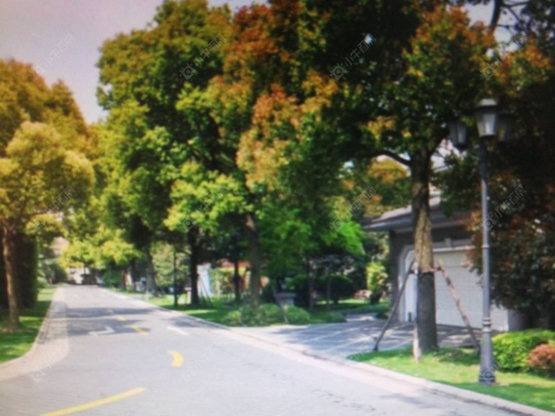 上海夏都花园小区_夏都花园小区null