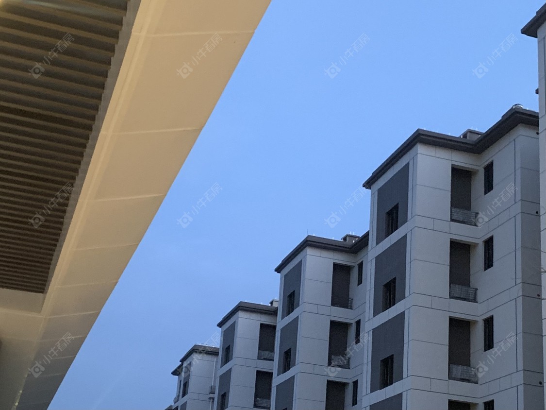 上海路劲象屿岛上的院子小区_路劲象屿岛上的院子小区null