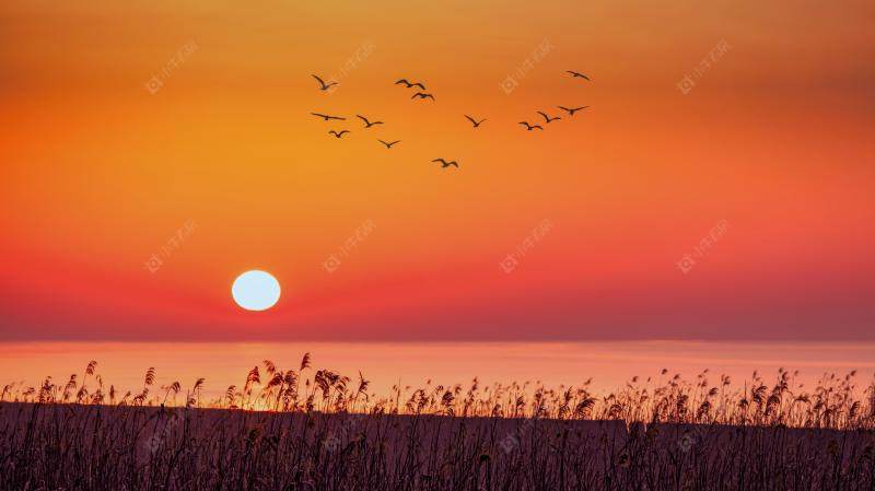 上海上实和风院小区_上实和风院小区null