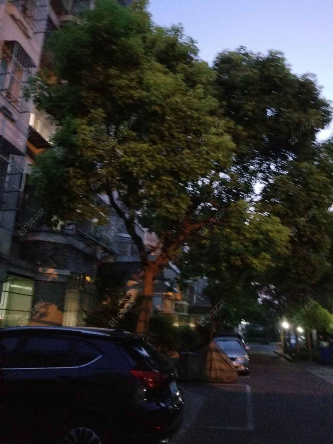 上海金汇广场一期小区_金汇广场一期小区null