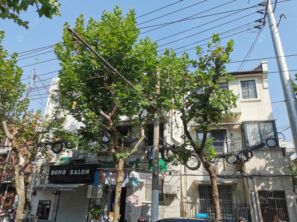 上海武定路小区_武定路小区null