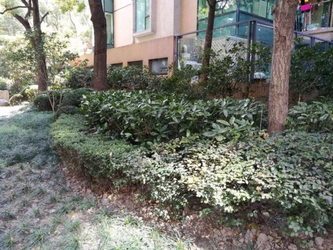 上海宁新小区小区_宁新小区小区null