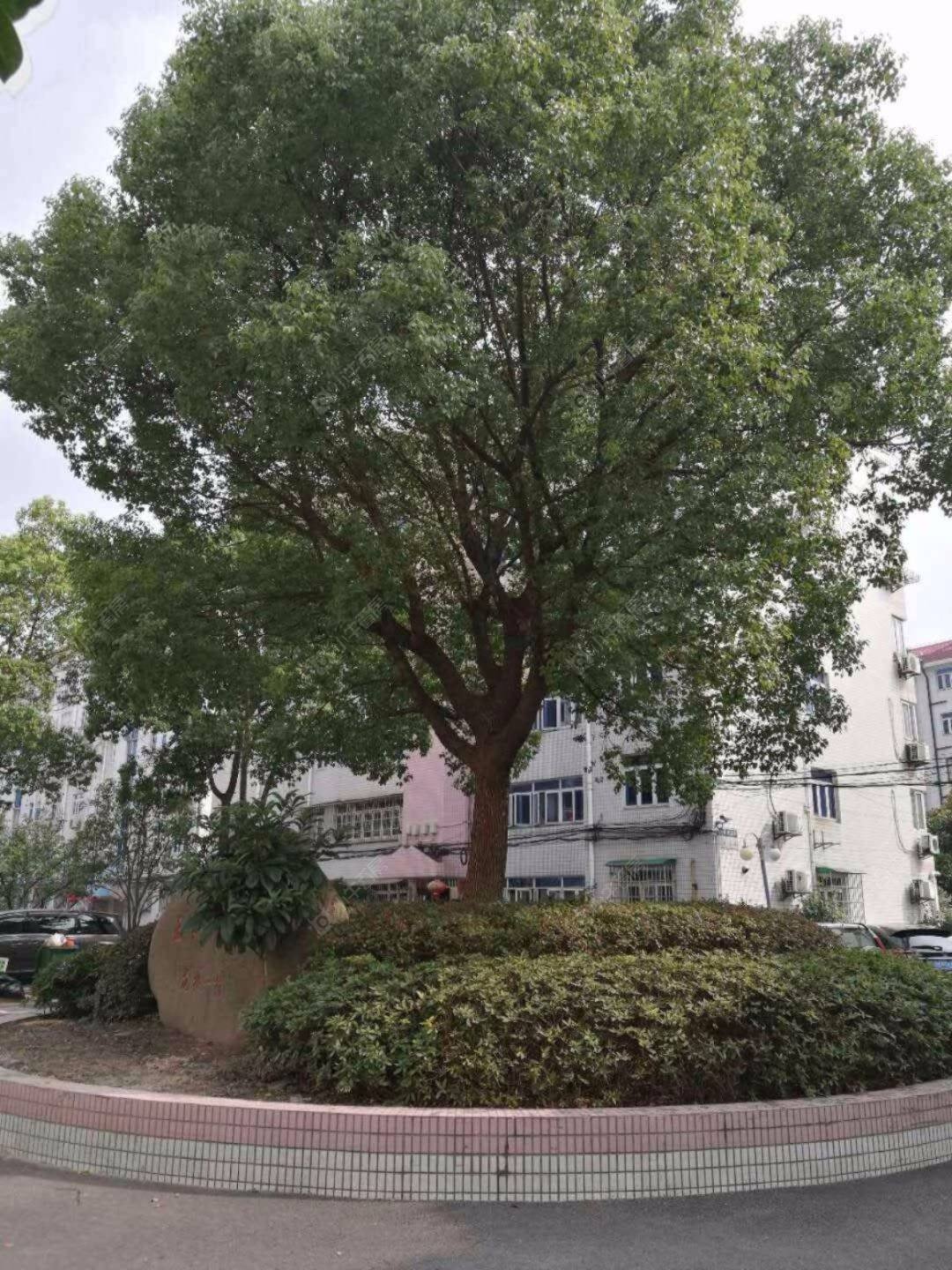 上海西郊公寓龙柏一村北块小区_西郊公寓龙柏一村北块小区null