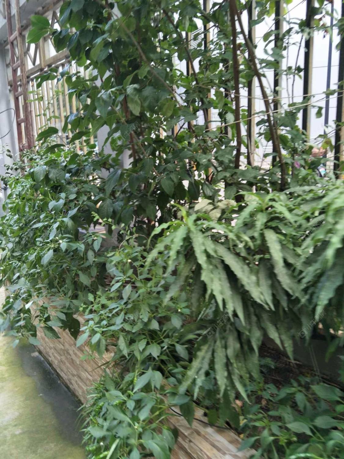 上海润康邨小区_润康邨小区null