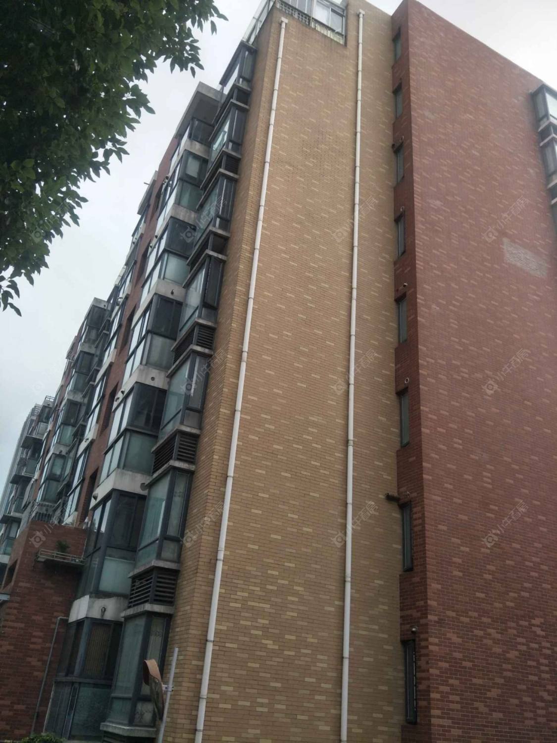 荣振馨苑封面图_小牛看房