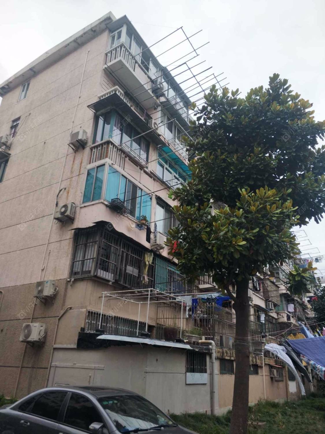 上海彭新小区小区_彭新小区小区null