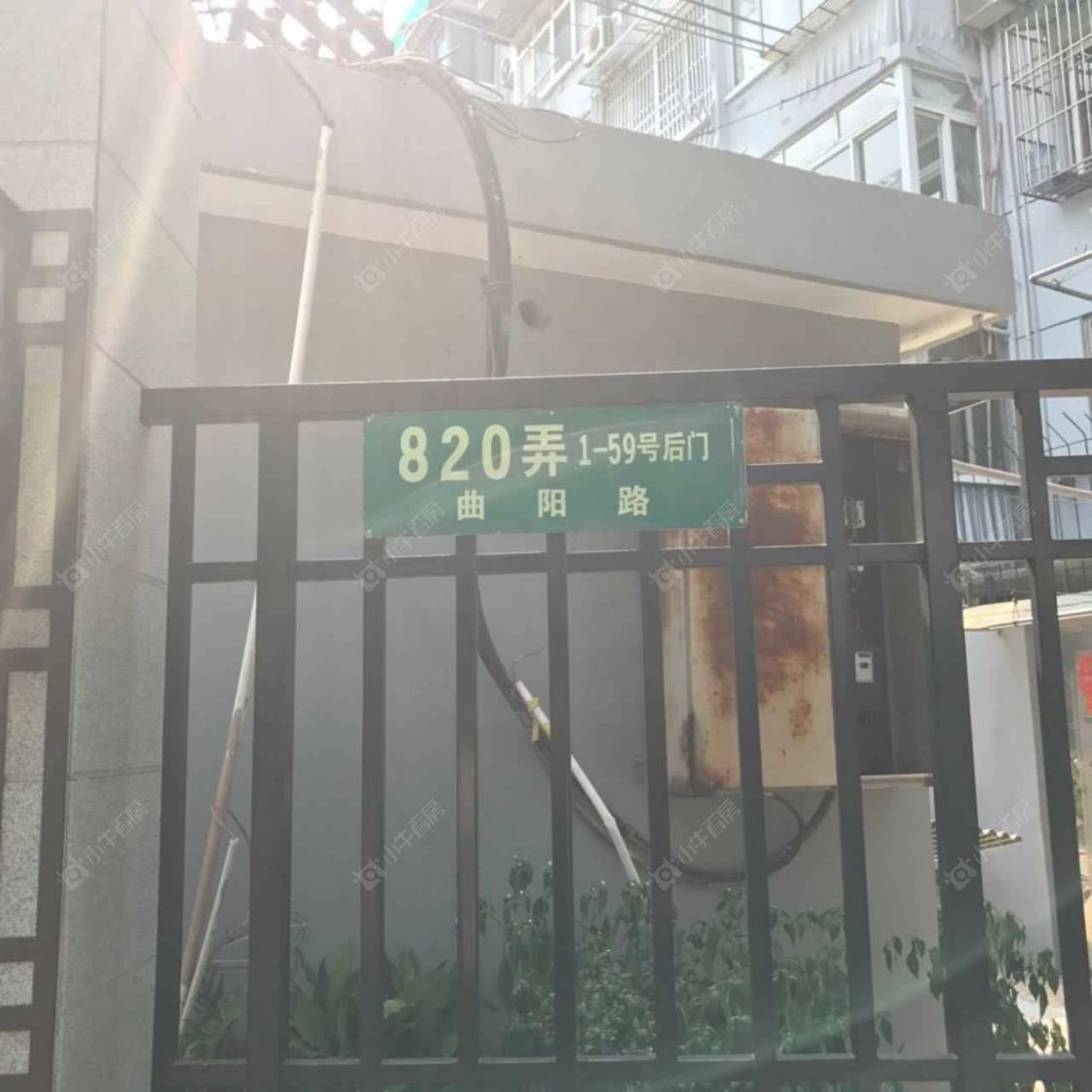 上海八一小区小区_八一小区小区null