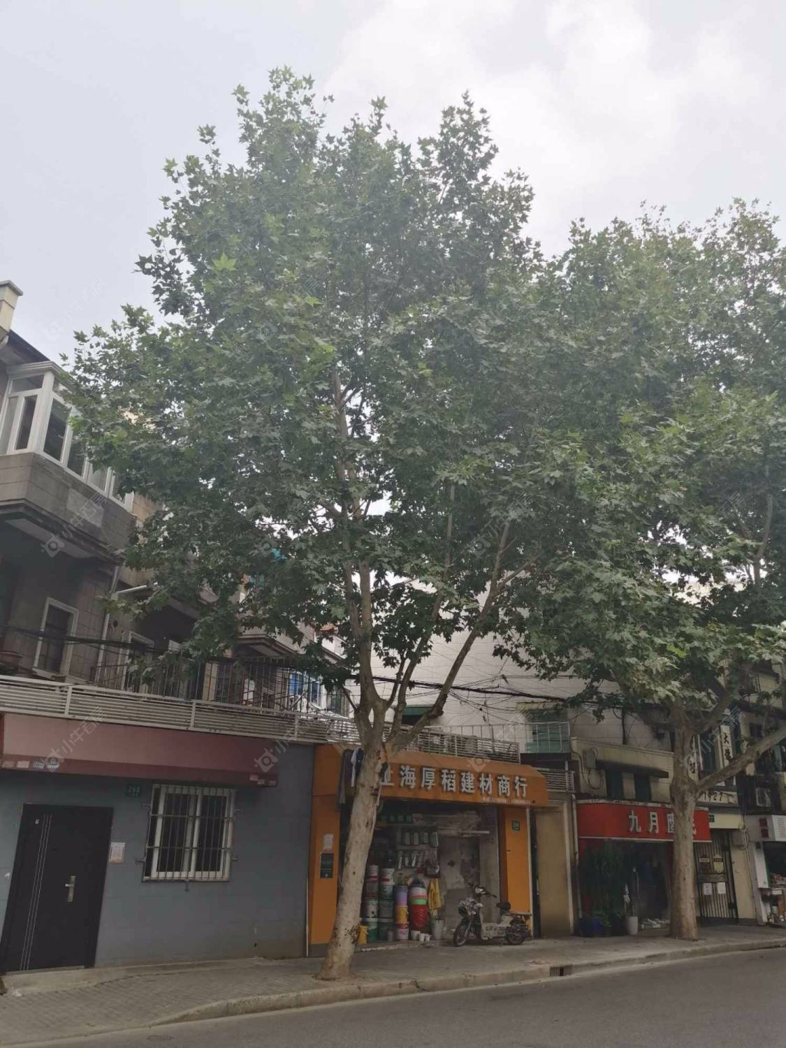 上海巨鹿路小区_巨鹿路小区null