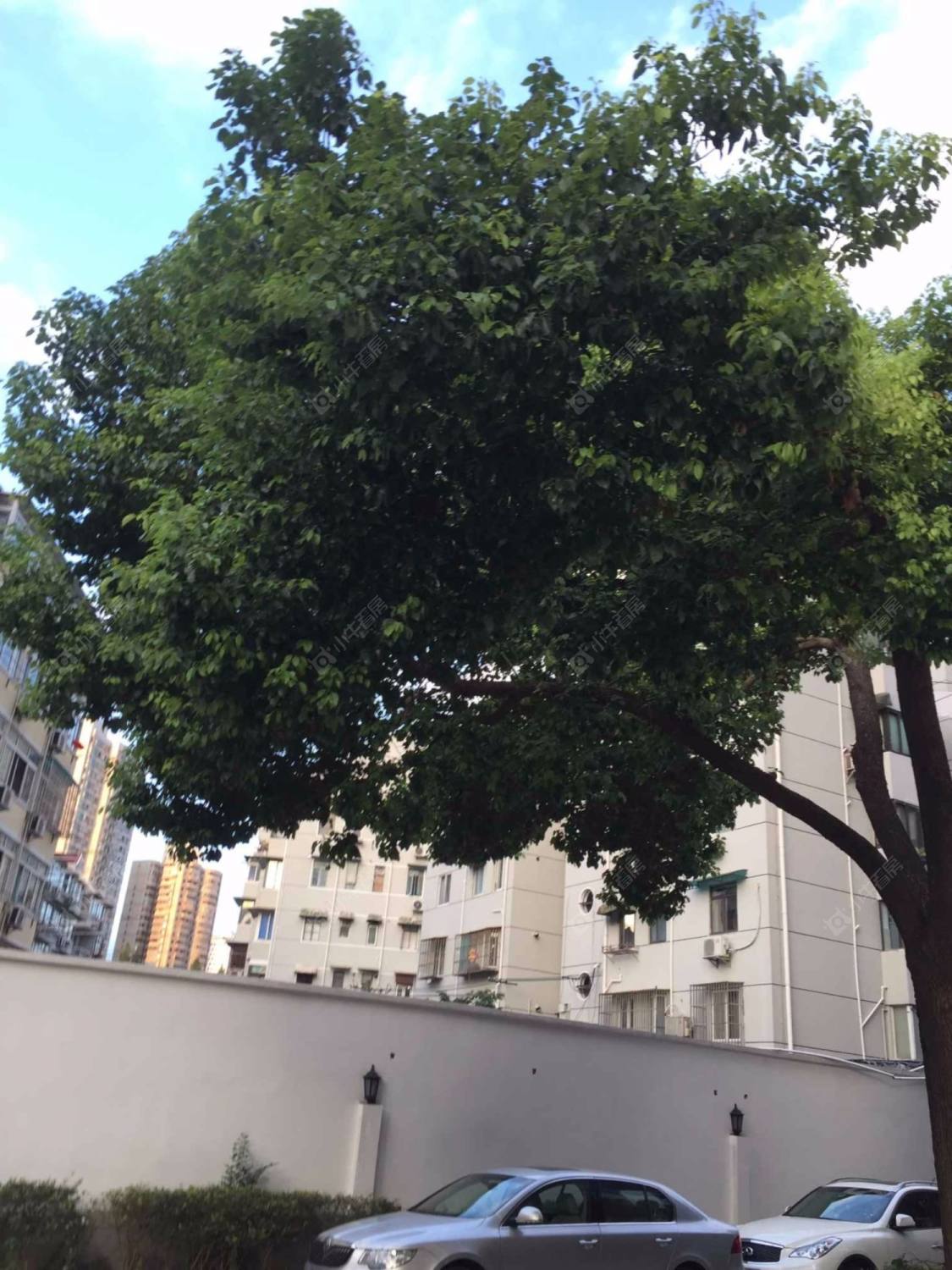 上海和馨苑小区_和馨苑小区null