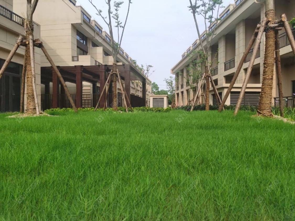 上海国乐广场小区_国乐广场小区null