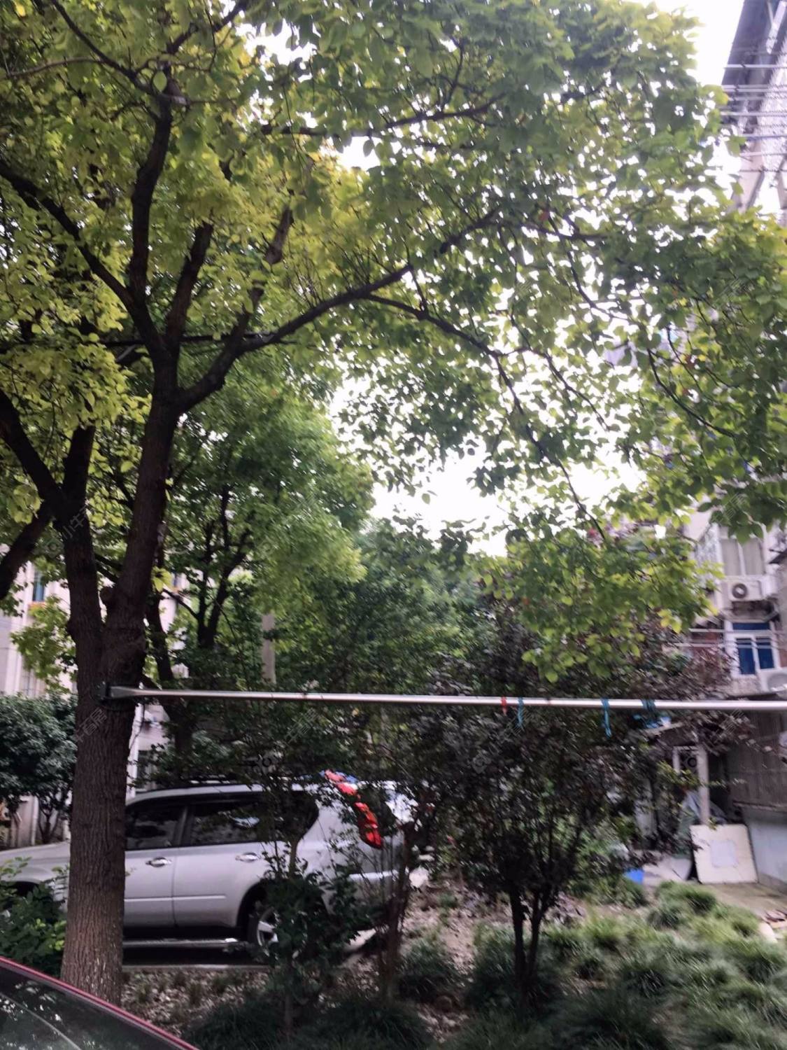 上海宝山一村小区_宝山一村小区null