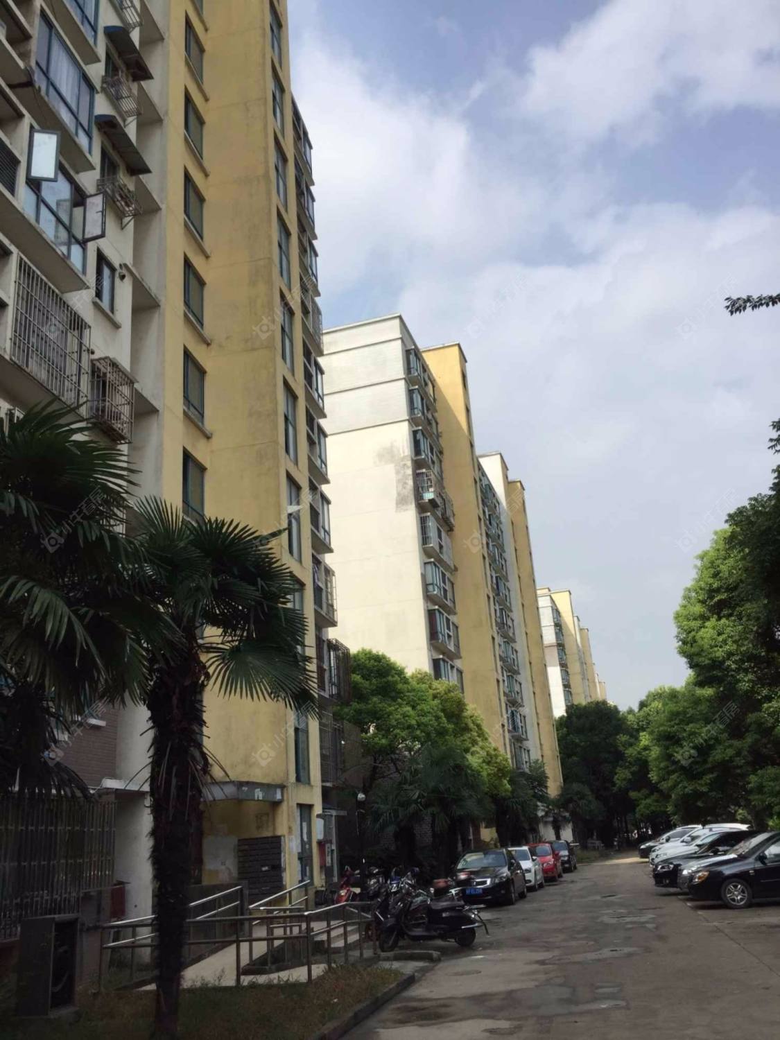 上海永泰花苑小区_永泰花苑小区null