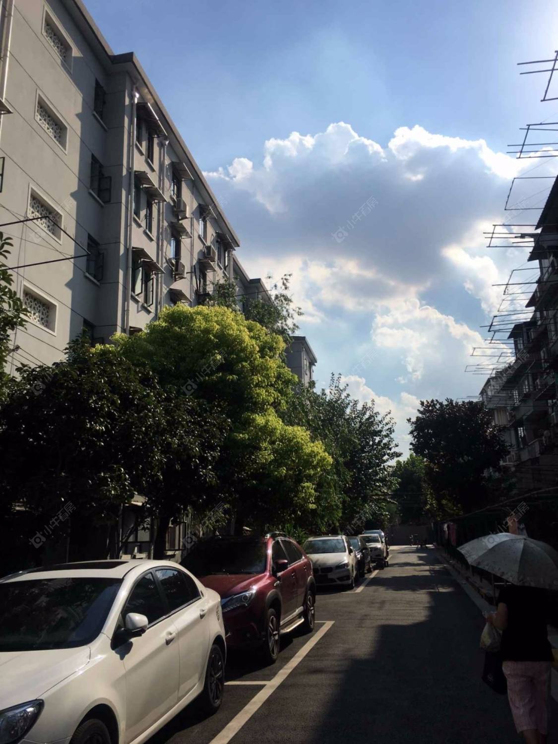 上海平型关路265弄小区_平型关路265弄小区null