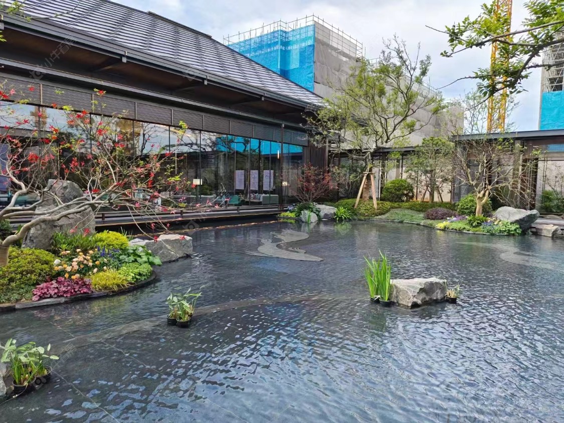 上海建发朗玥在售新楼盘null