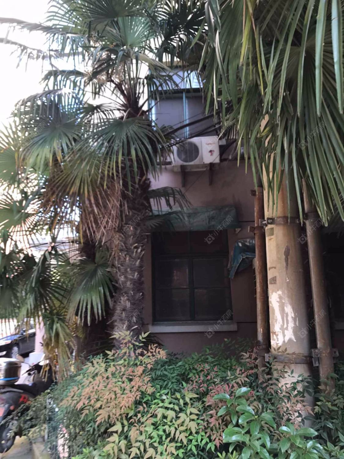 上海水仙苑小区_水仙苑小区null