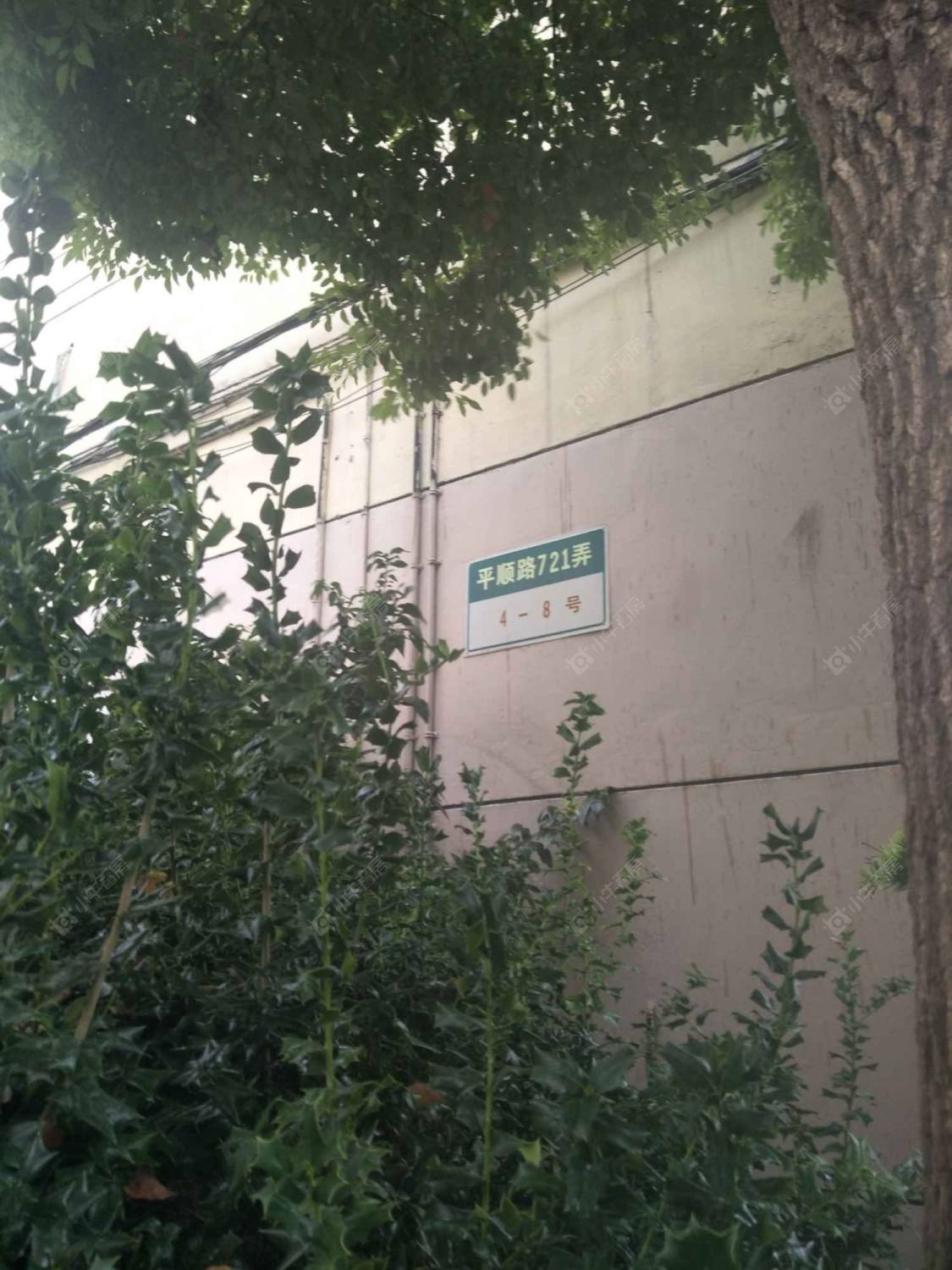 上海平顺路721弄小区_平顺路721弄小区null