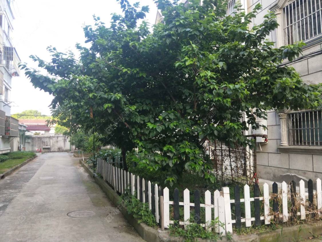 上海新环西路546弄小区_新环西路546弄小区null