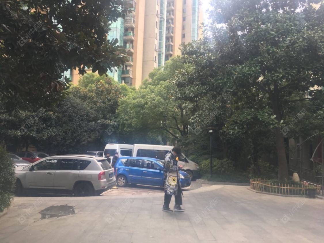 上海丽都新贵小区_丽都新贵小区null