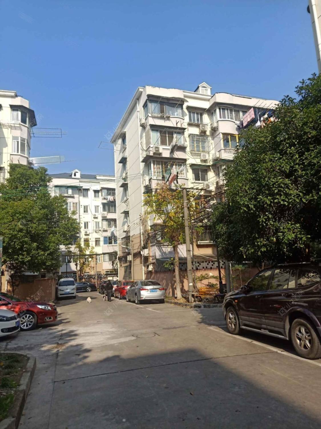 上海清涧花苑小区_清涧花苑小区null