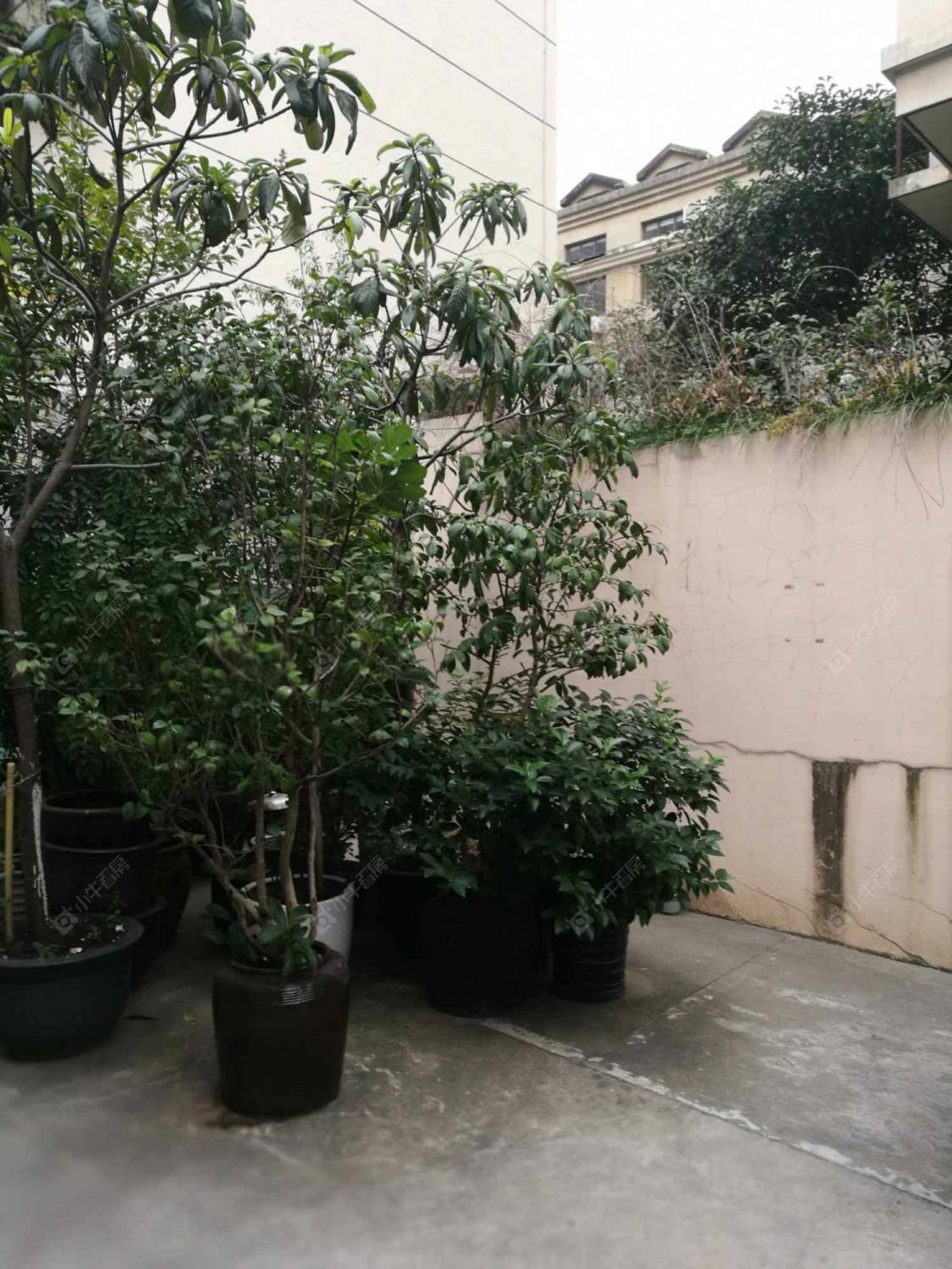 上海郑家巷小区小区_郑家巷小区小区null