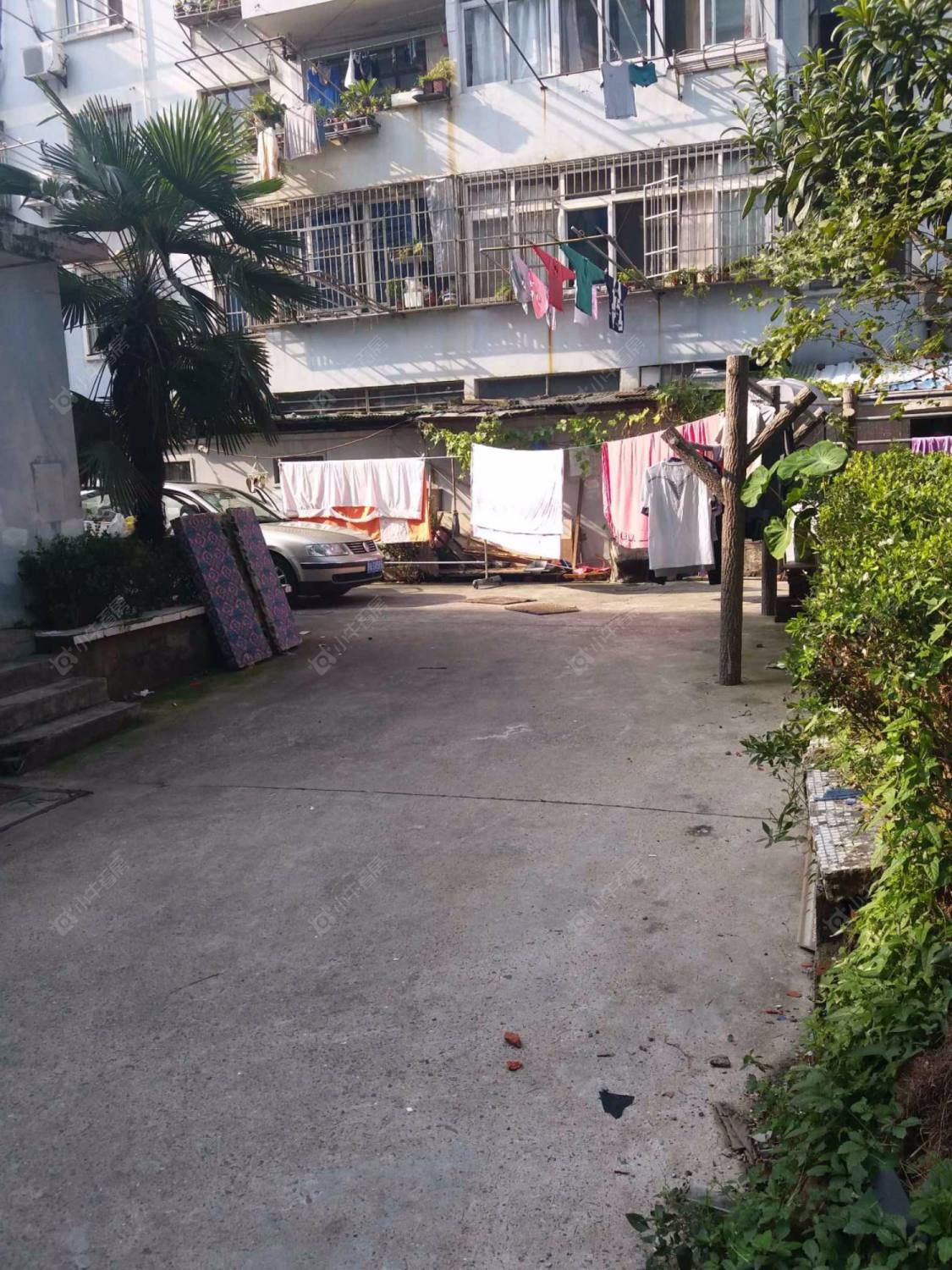 连波路66弄封面图_小牛看房