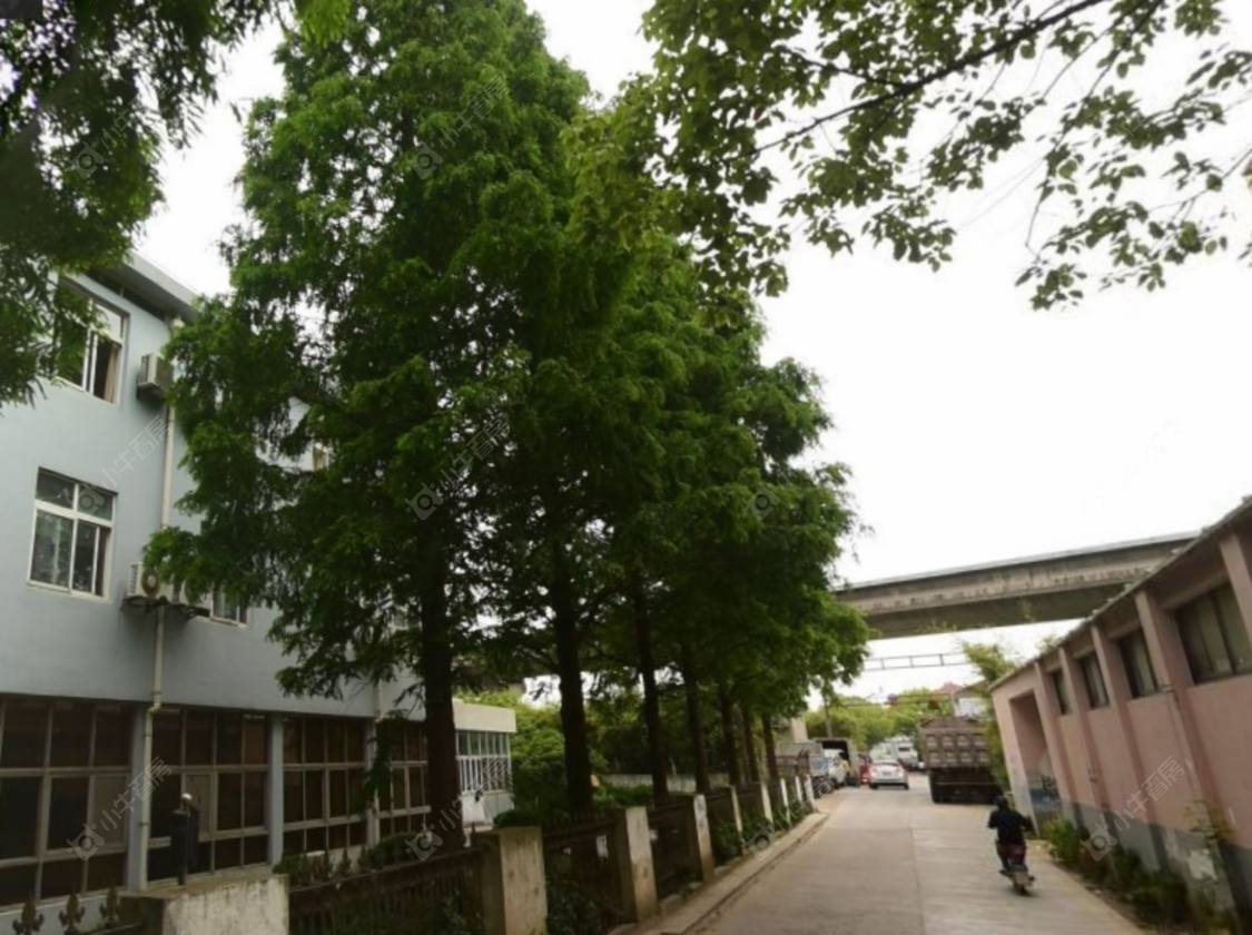 上海高西小区小区_高西小区小区null