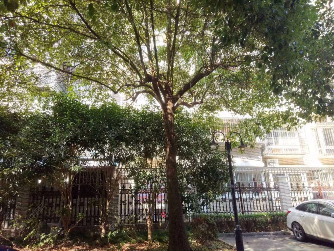 莲杨苑封面图_小牛看房