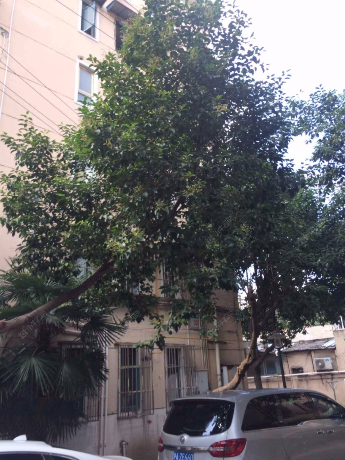 上海上南三村(138-174号(双))小区_上南三村(138-174号(双))小区null